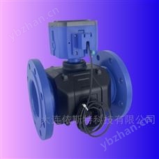 YST307D50YK213超聲波水表