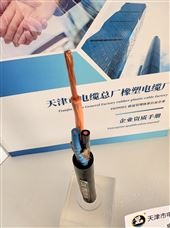 中型橡套軟電纜 YZW