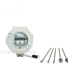 美國GE XGF868i火炬氣超聲波流量計