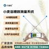 小麥育種測產系統