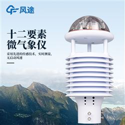 FT-WQX12智慧灯杆气象传感器