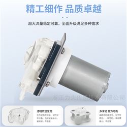 LFP104/BL直流无刷蠕动泵