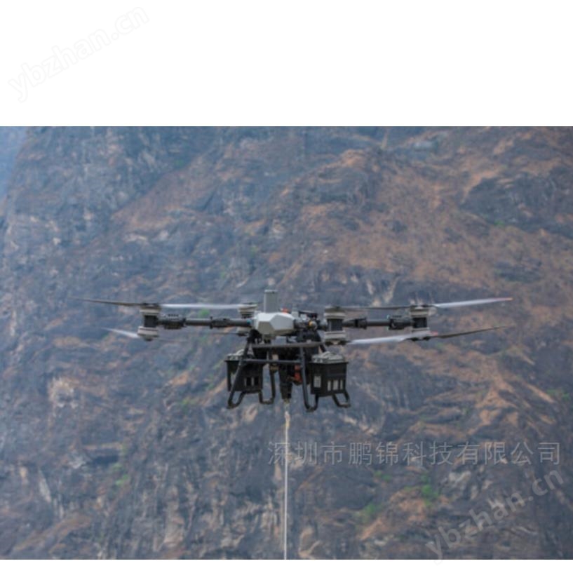 大疆FlyCart100無人機-80kg重載 9分鐘快充