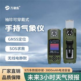 WX-SQ12袖珍手持气象仪