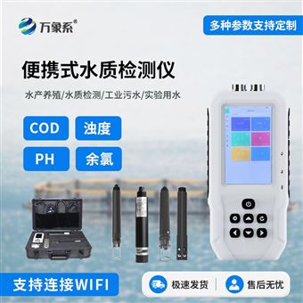 WX-SS04便攜式水質(zhì)檢測儀