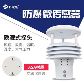 WX-WFB5防爆氣象儀器