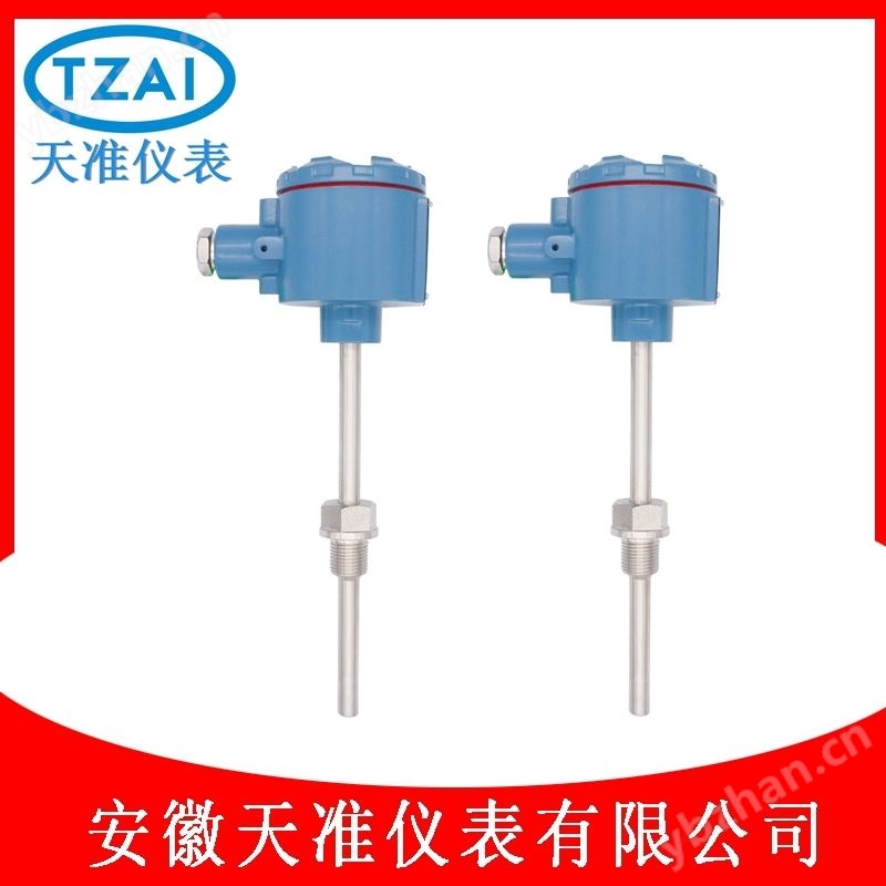 天准防腐型铠装热电偶