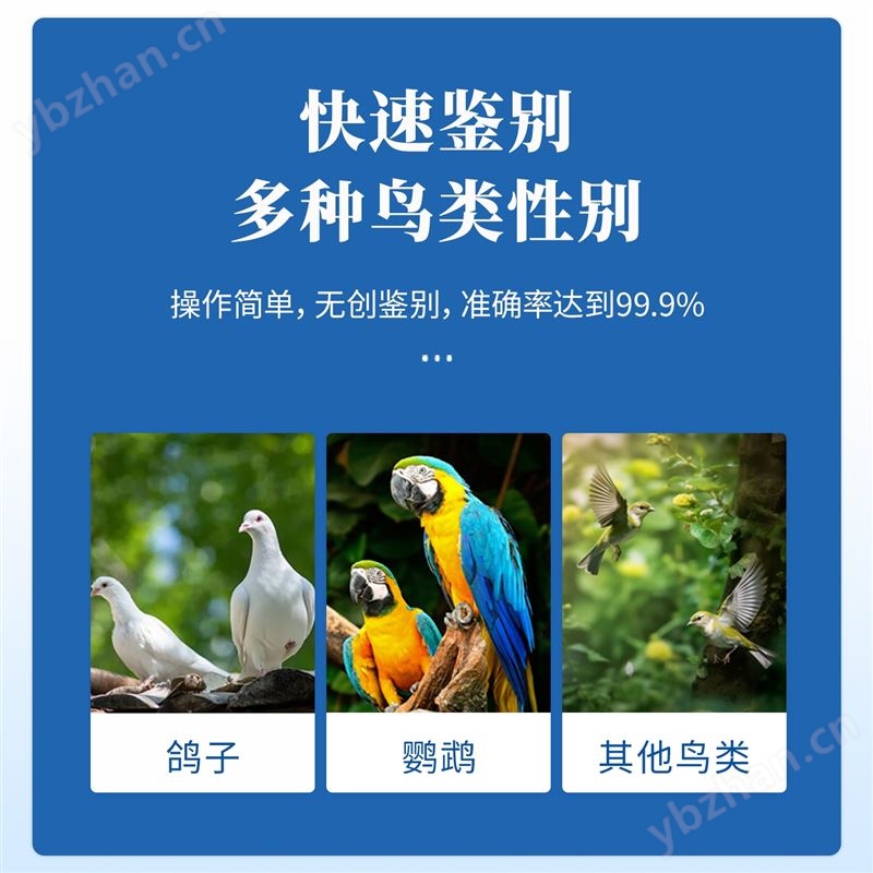 鸽子飞行能力检测仪