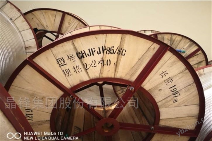 CHJPFP86/SC海水淡化设备系统仪表电缆