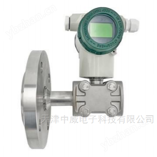 Single flange level gauge transmitter