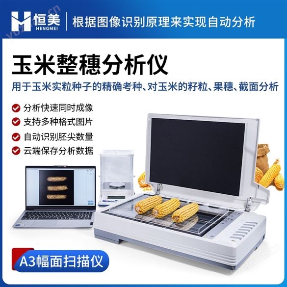 玉米考種分析系統(tǒng)實粒種子整穗截面分析儀