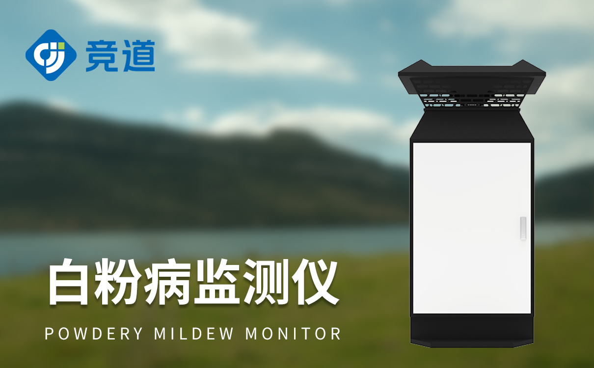 白粉病怎么防治