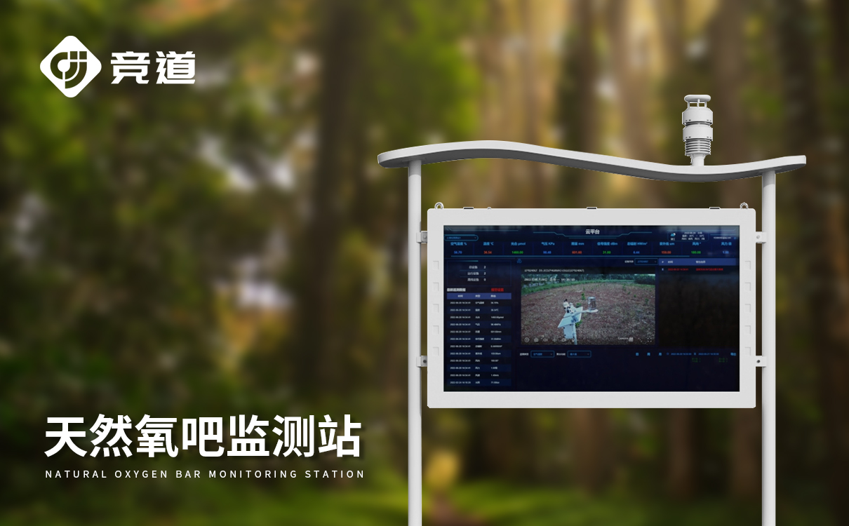 大气负氧离子自动监测系统