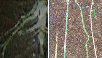 DJ-3012植物3D根系生長監測系統