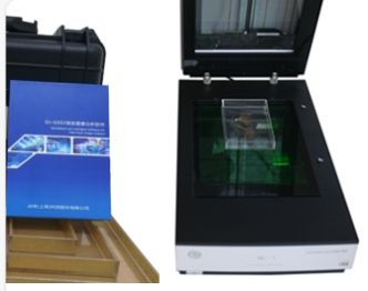 DJ-3010根系图像分析仪