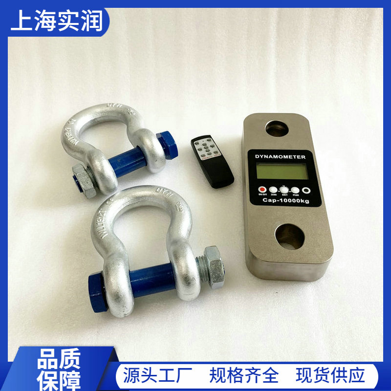 DL-R-10t (22).JPG 上海实润新品发布 助力仪表出口提质