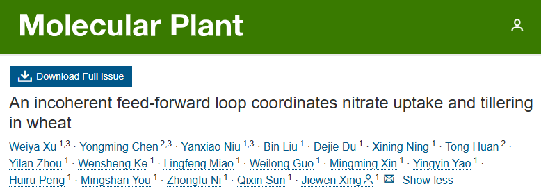 案例5-1.png DAP-seq实用研究思路助力植物转录调控研究