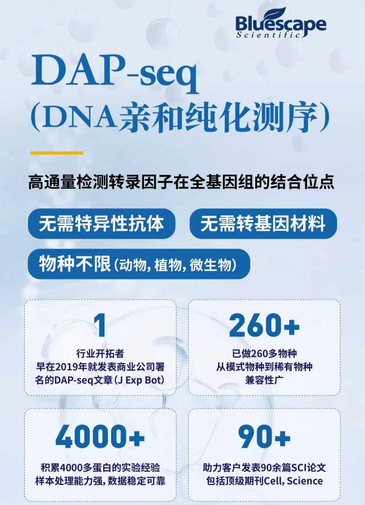 DAP,2026.jpg