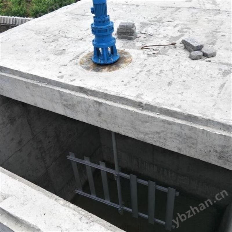 磁混凝沉淀池混凝攪拌機(jī)