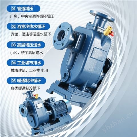 水塔送水高能效自吸泵ZW
