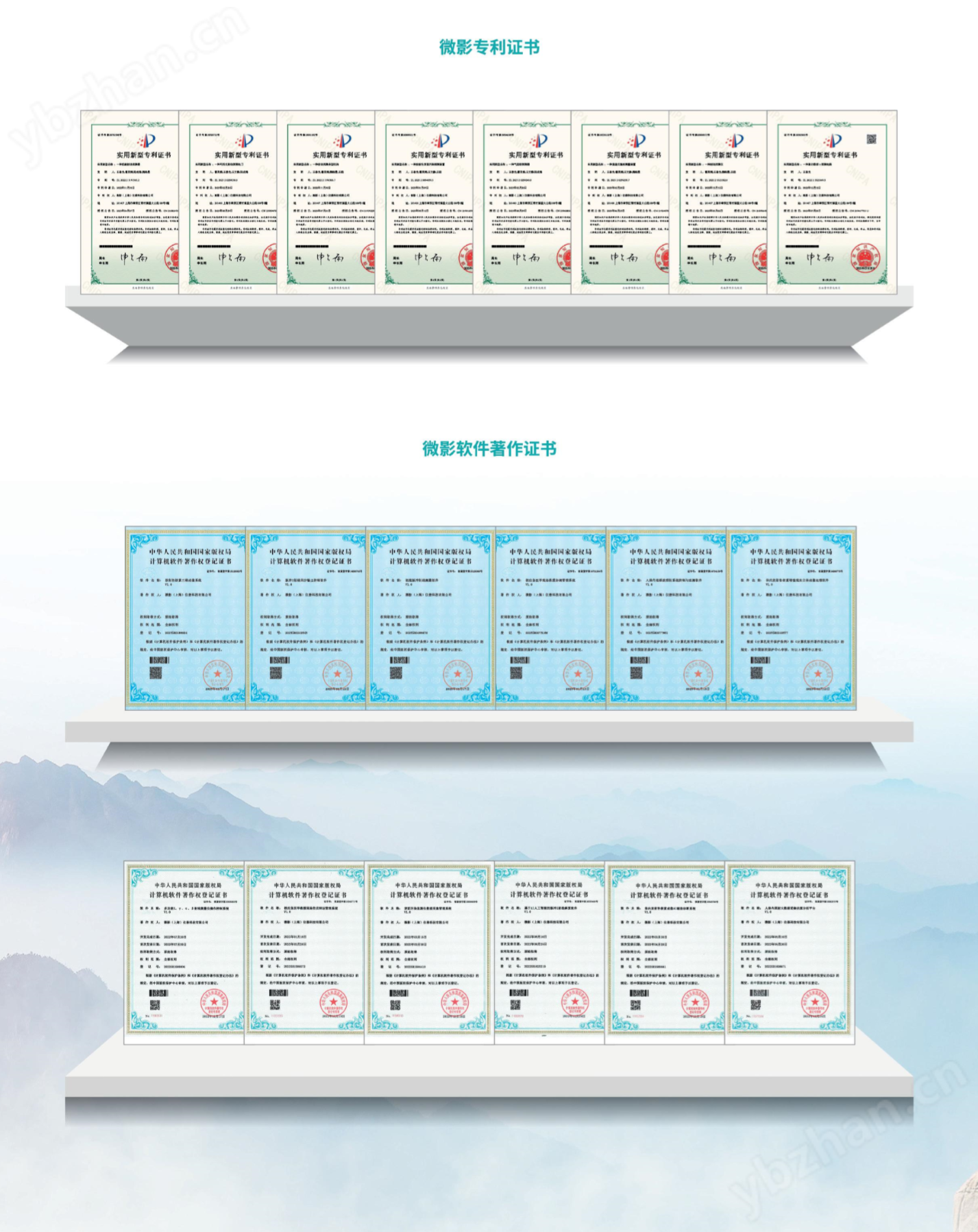 中子剂量率仪（雷姆仪）